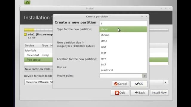 Install Linux Mint 13 Maya Cinnamon Steps on VMWare Fusion 4 with Issue-Free Disk Setup