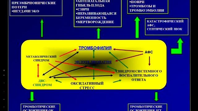 Тромбофилия как причина акушерских осложнений 1