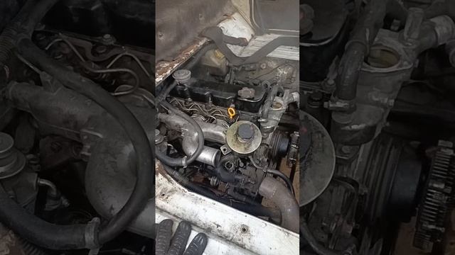 1001028574.mp4