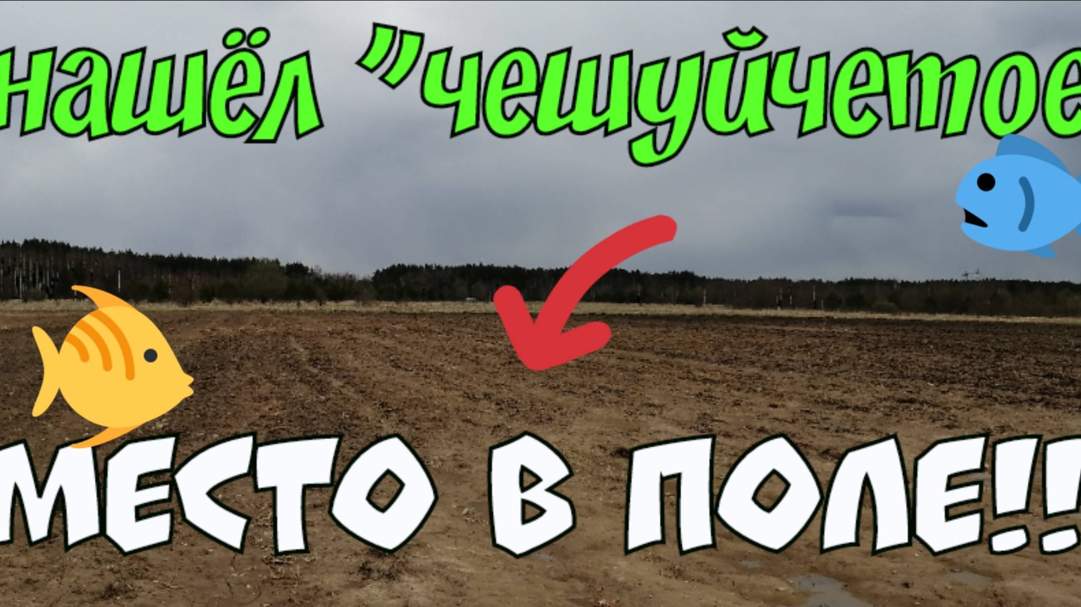 НАШЁЛ ЧЕШУЙЧЕТОЕ МЕСТО В ПОЛЕ. ПОИСК СТАРИНЫ С ЭКВИНОКС 800.