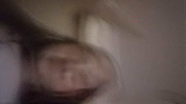 VID_20241011_170110.mp4