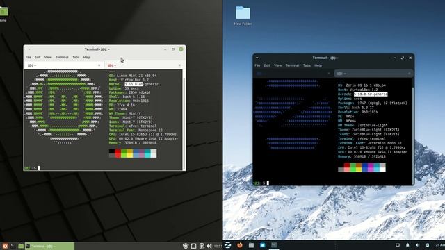 Linux Mint 21 vs Zorin OS 161 Lite