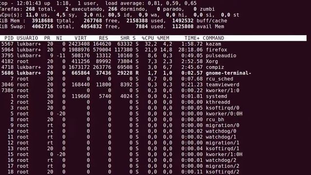 Monitorando processos rodando no Linux via terminal - Comando TOP