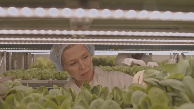 Секрет правительства: 10 продуктов, которые они не хотят, чтобы вы покупали!
