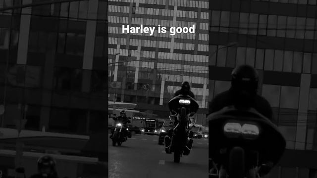 Harley is good