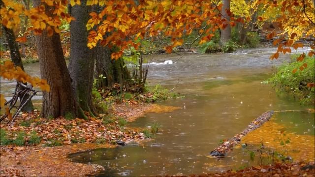 Relaxing With A Cup Of Coffee With The Sound Of Soft Rain & Soothing Piano Music