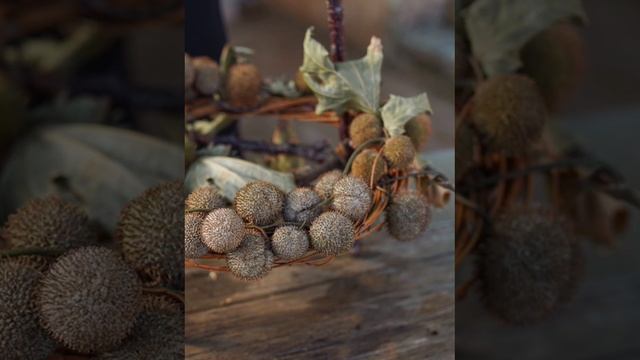 Тыквенный нюанс