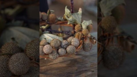 Тыквенный нюанс