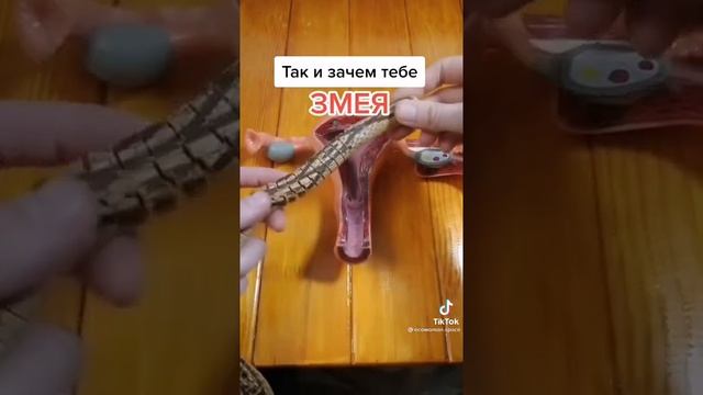 зачем тебе столько?