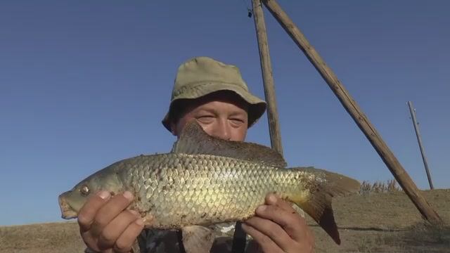 ОСЕННИЙ САЗАН НА ПОПЛАВОК! ЭТО БОЛОТО СНОВА УДИВЛЯЕТ! Поплавочная рыбалка на пересыхающем водоеме.