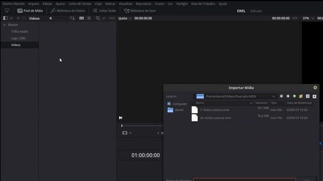 Davinci Resolve no Linux Mint 19.1(Pool de Mídia e Winff)PT-BR