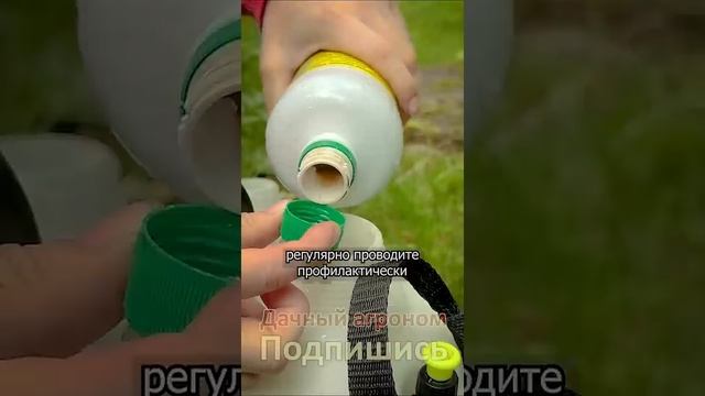 Как ухаживать за садом ЧТОБЫ ОН РАДОВАЛ