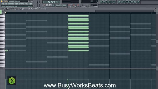 D2 Technique-Adjusting Scales