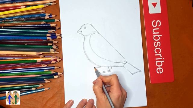 Как нарисовать снегиря. Онлайн-школа рисования "Малевашки"