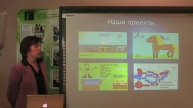 соколова1.mov
