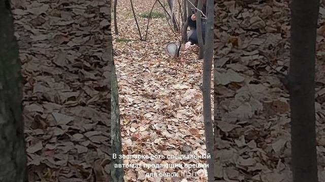 1000298661.mp4