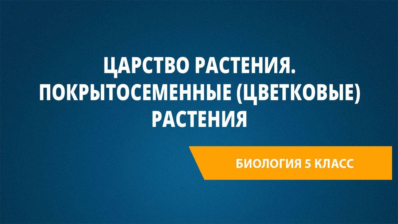 Урок 17. Царство Растения. Покрытосеменные (цветковые) растения