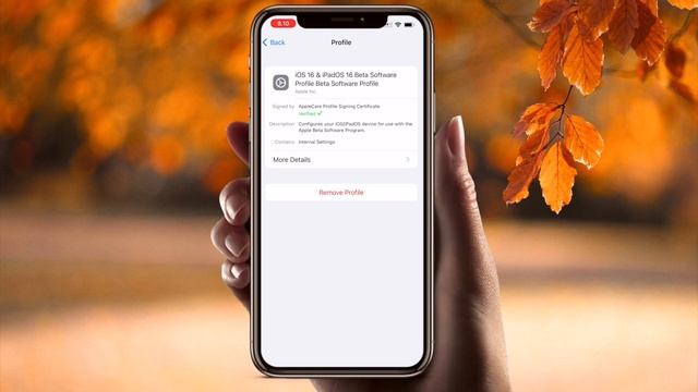 iOS 16 - How to Remove iOS 16 Beta and Update to Final Version