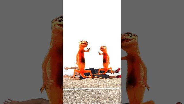 🤔КАК ВЫЖИТЬ, ЕСЛИ УКУСИЛА ЯЩЕРИЦА🦎

#юмор #шутка #лайфхак #животные