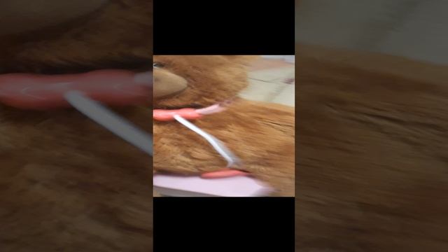 20241011_210545.mp4
