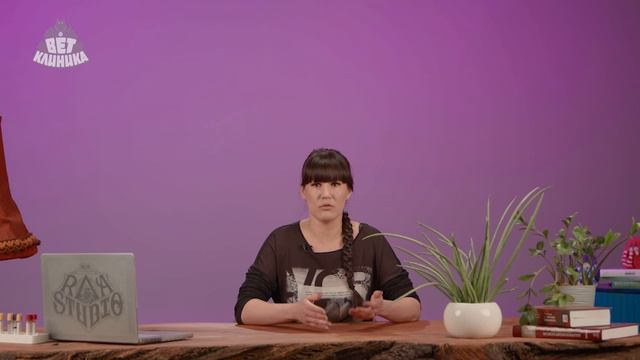 Вирусная лейкемия у кошек
