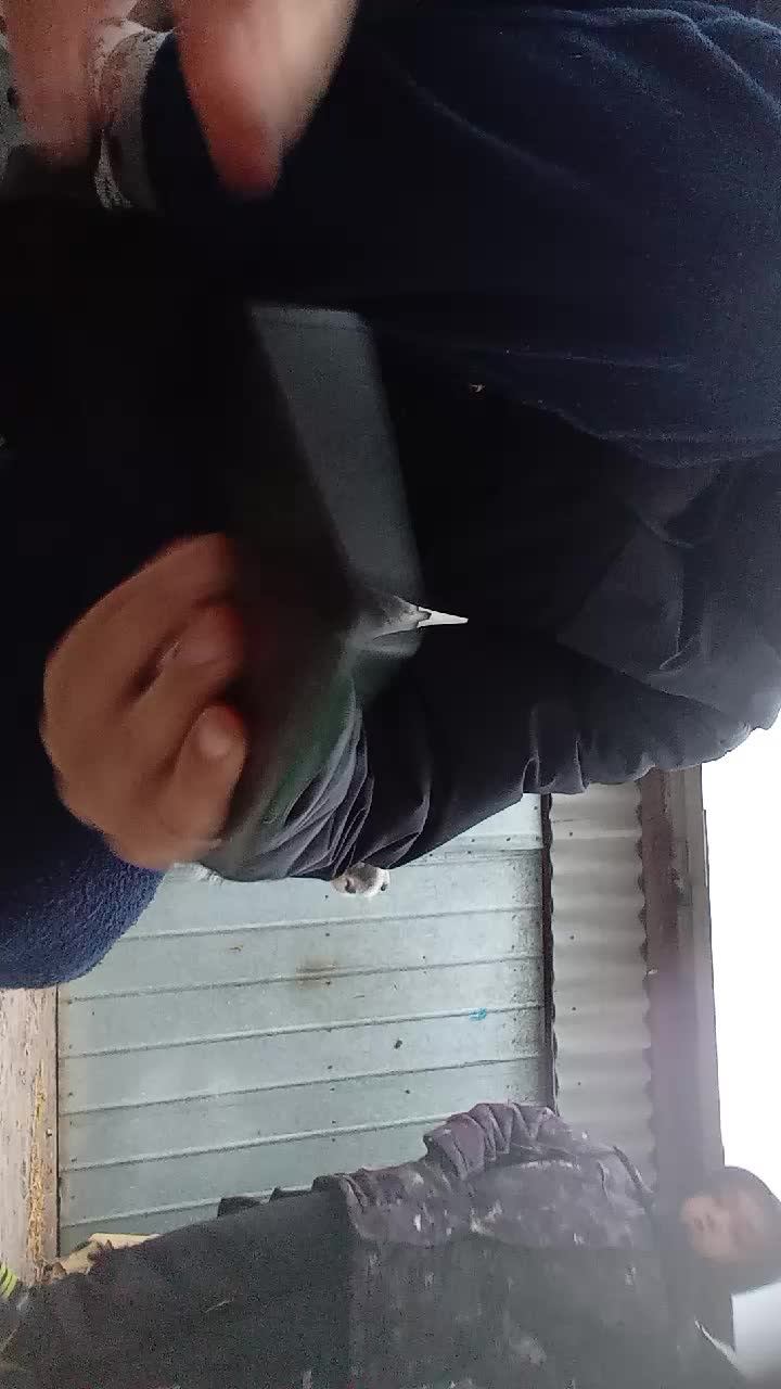 us