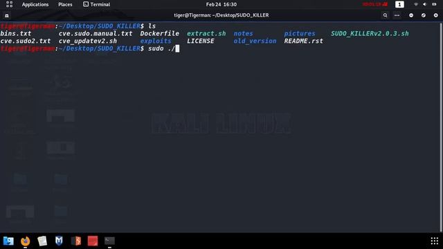 SUDO Killer - CVE-2019-14287 Controlla vulnerabilità comando SUDO Linux sul tuo Pc