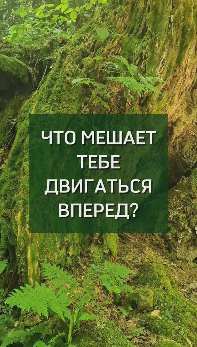 Что мешает тебе двигаться вперёд?