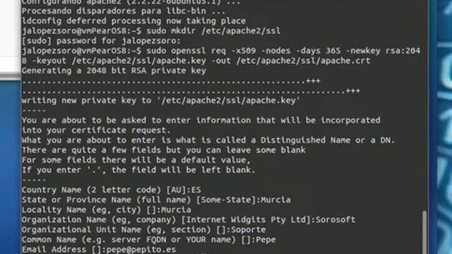 Apache2 con SSL en Ubuntu 13.10