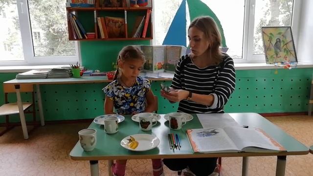 Вебинар воспитателя Плеховой Т.А.