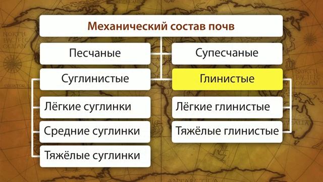 01. Почвы и факторы их образования