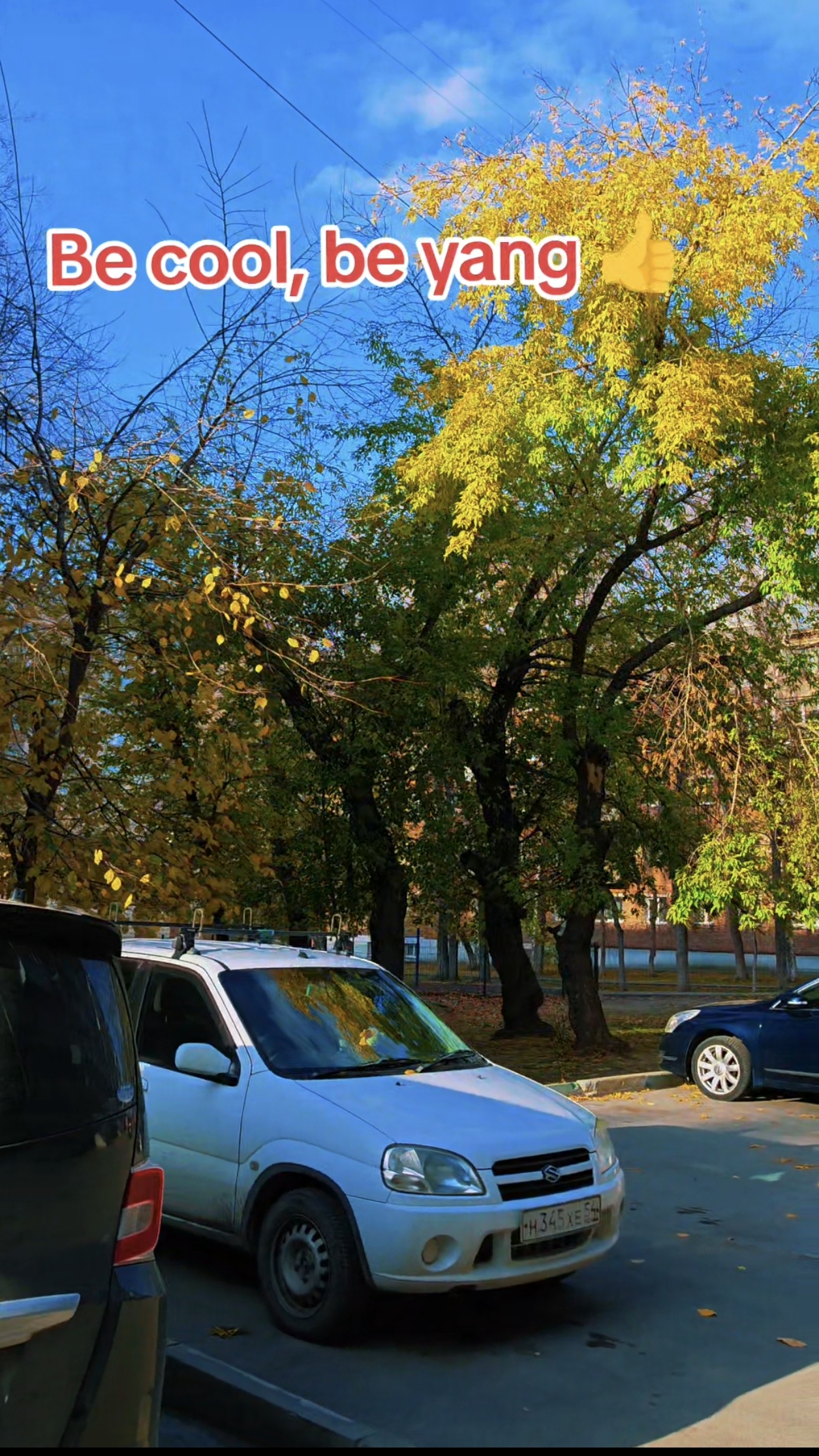 Будем молоды и прекрасны