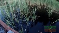 С Мусей на лодке проверяю поставушки на щуку. Рыбалка в Псковской области.