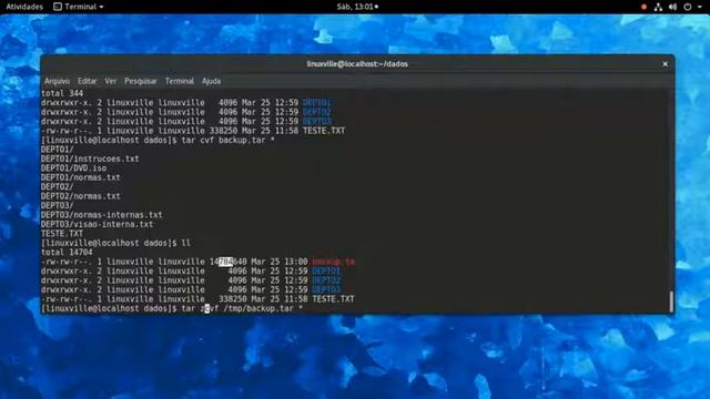 Linux Essencial - 5 - Comandos básicos Linux 3 - Backup (tar e zip)