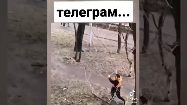 Гребаный телеграмм бля