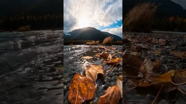 Осень в Крыму 🍂