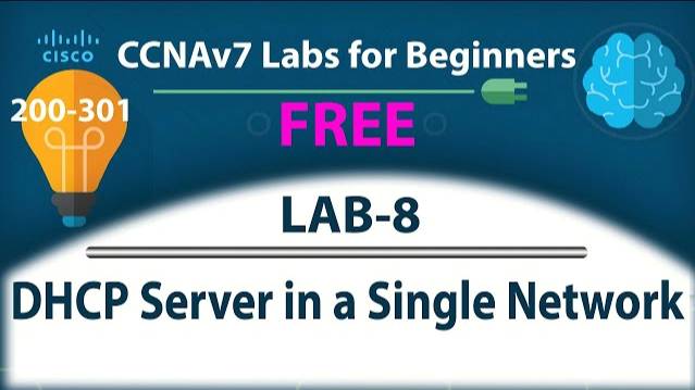 DHCP Server in a Single Network - Lab8 | Free CCNA 200-301 Lab Course