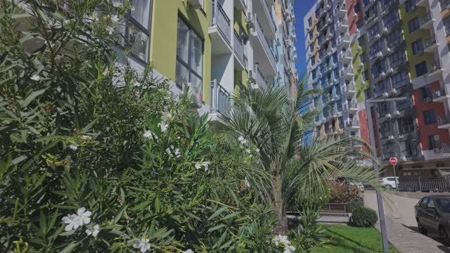 Окрестности Гастелло, Адлер, Сочи / Gastello neighborhood, Adler, Sochi