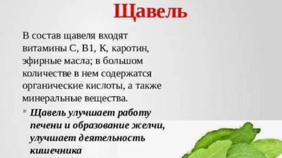 ты щавель,а я крутой меллстрой