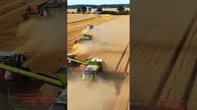 Зерноуборочные комбайны в ПОЛЕ! #claas #shorts #short #рекомендации #tractor #power #fendt #valtra