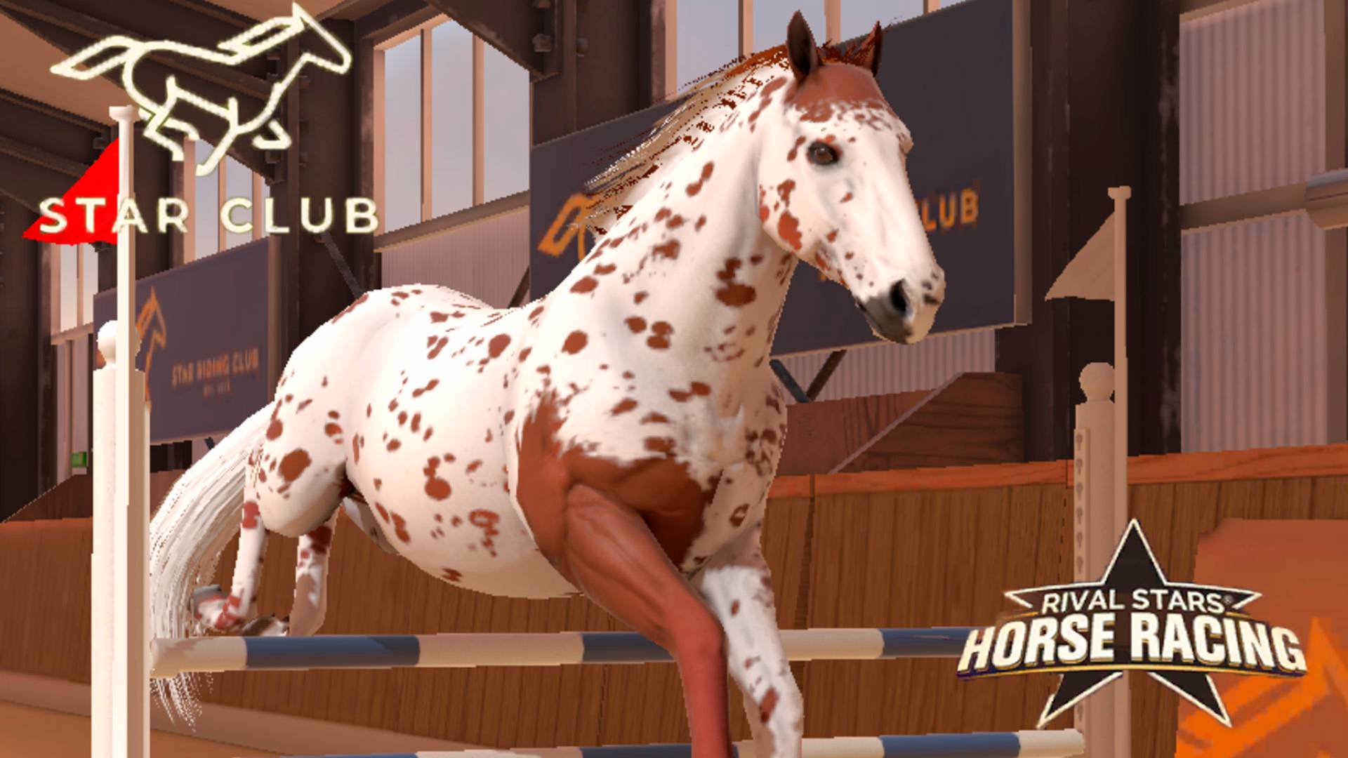 КНАБСТРУППЕРЫ! Раведение, конкур и прогулка Rival Stars Horse Racing