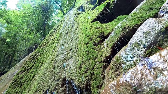 Водопады горной реки Куаго, неподалеку от Геленджика и Архипо-Осиповки, insta 360 ace pro