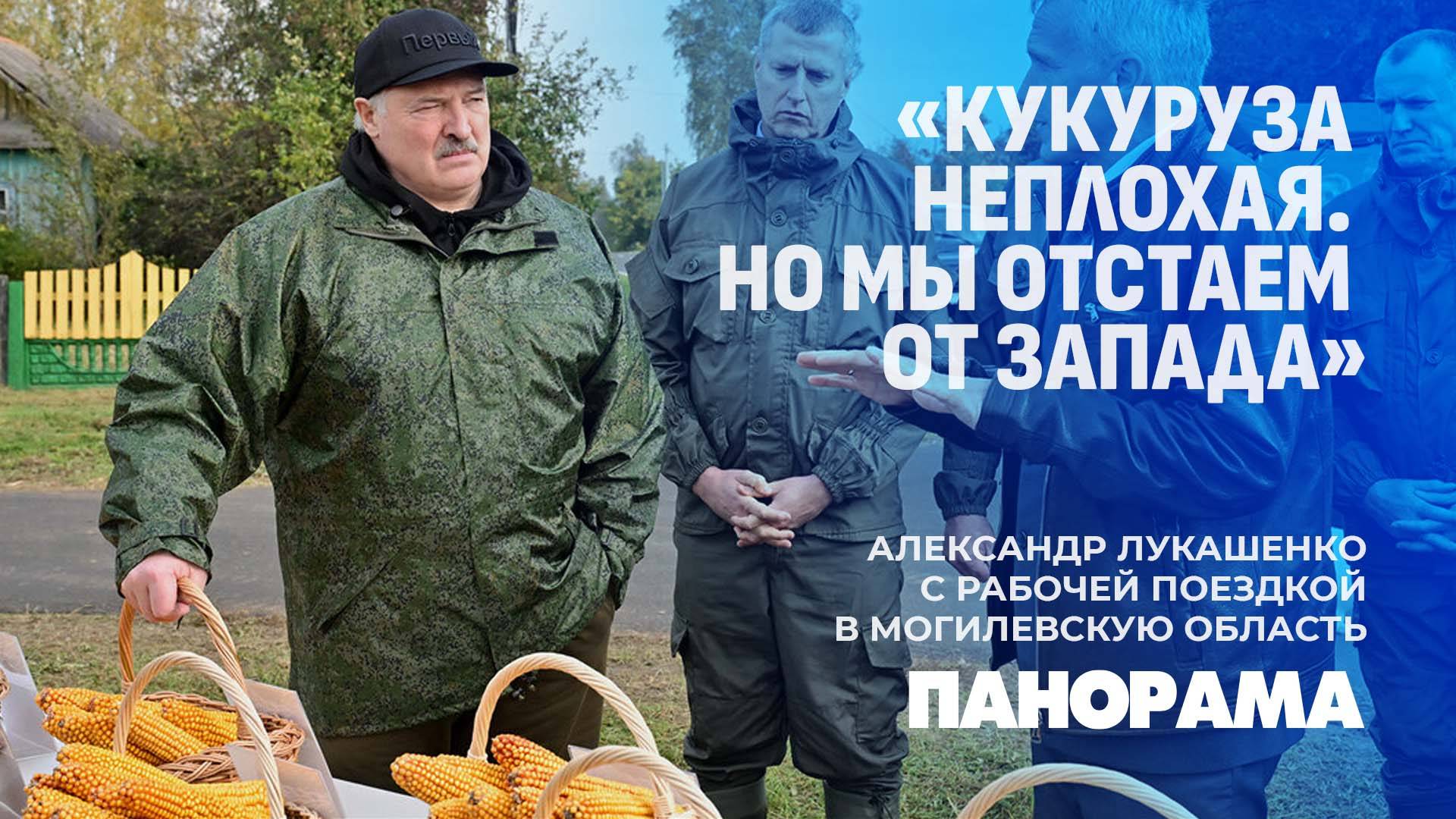 "Товарищи, начинайте, а я за вами!". Лукашенко дал старт акции "Дай лесу новае жыццё". Панорама