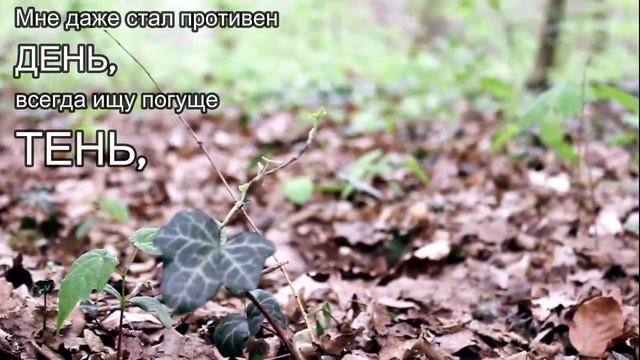 СОВА - Лирик видео