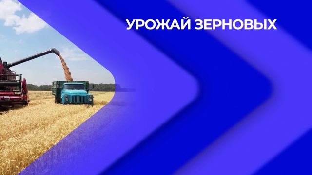 Сколько продукции АПК производят в ПФО?
Новости экономики от 11.10.2024