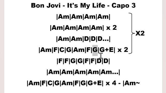 59. Bon Jovi - It's My Life (на гитаре)