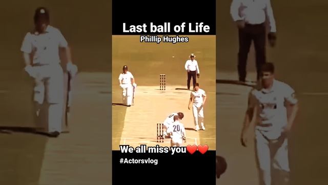 #actorsvlog #rajatroy Last ball😔 we all miss you Phillip Hughes ❤️💔 #actorsvlog #ytshorts #short