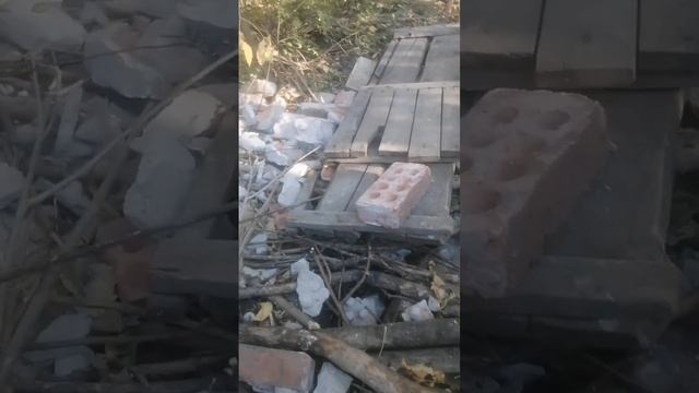 lv_0_20241011193041.mp4