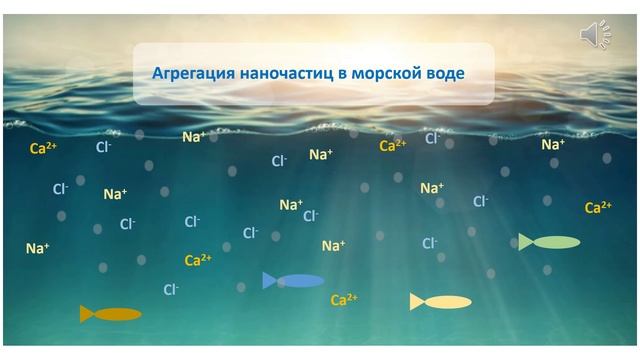 Aggregation of nanoparticles in sea water