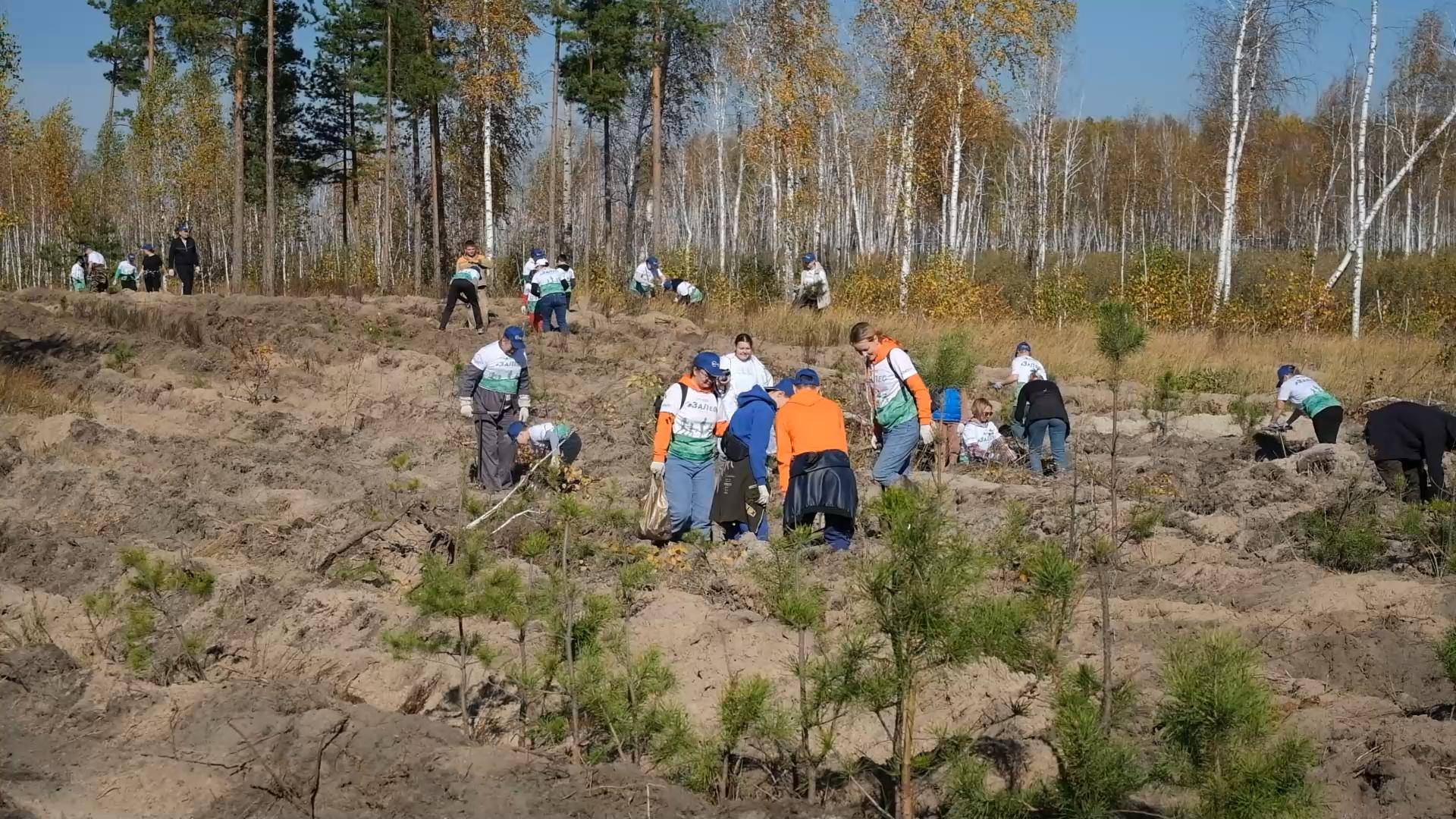 В рамках экологической акции